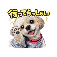 nakashi_20260701181009
