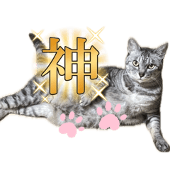 Risa_20260701185341