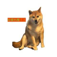 ryoko_20260701190622