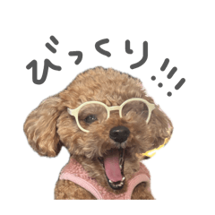 mayu_20260701201352