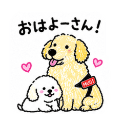 nokka_20260701201549