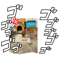 jo_20260701202515