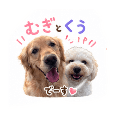 nokka_20260701203718