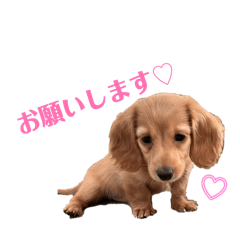 Ren_20260701204208