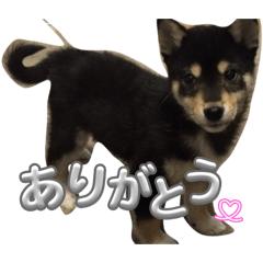 maaaa_20260701204843