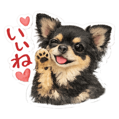yururin_20260701204909