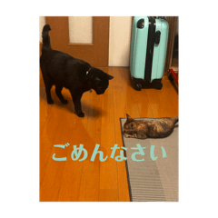 shuya0216_20260701210506