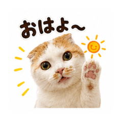 Aoi2026stamp