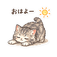 Low-Energy American Shorthair