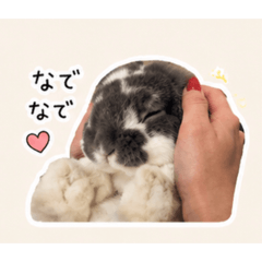 Mochi_20260630123222