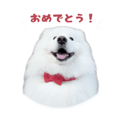 mizuki_20260630123418