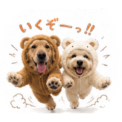 nokka_20260701211823