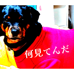 Nke_20260701213350