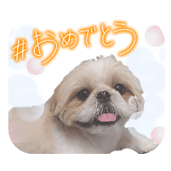 momo_20260701214832