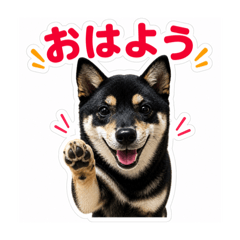 hase_20260701222130