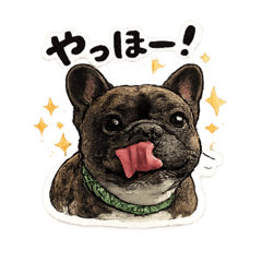 kiyo23_20260630125809