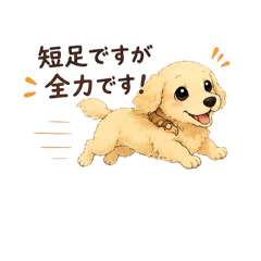 ayu18_20260630132635