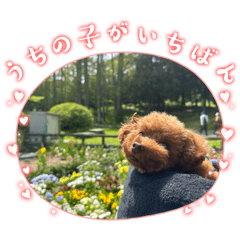 Fumiya_20260630143418