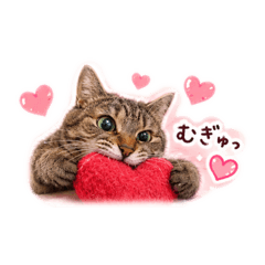 ARLY._20260630143900