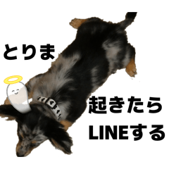 miolulu_20260630142006