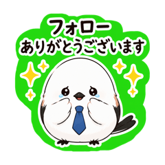 Moko_20260630161236