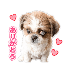 moko_20260630154018