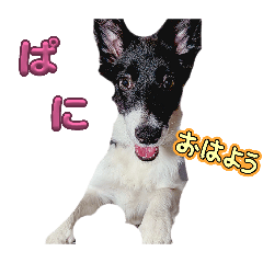 82aloe93_20260701224912