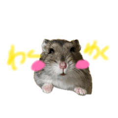 ^^_20260701234727