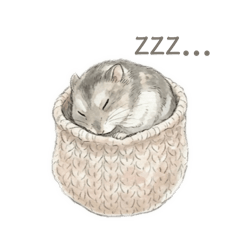 Gentle Djungarian Hamster