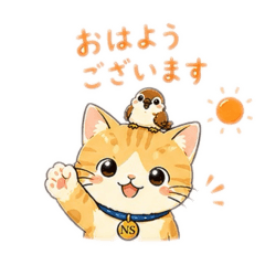 nobu_20260702111244