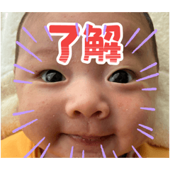 maruhashi_20260702111731