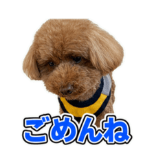 MIKO_20260702113251