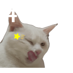 rikkamono_20260702113005