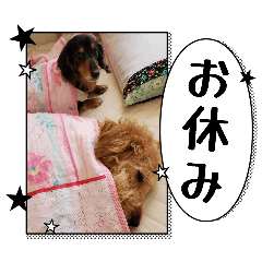 memekichi_20260702114652