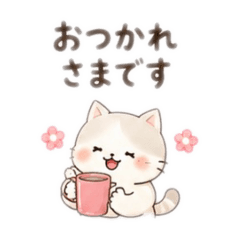 Fluffy Cat Everyday