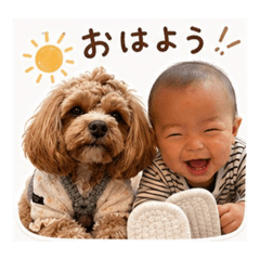 tashi_20260702143928