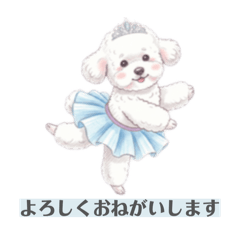 Maruko_20260702145336