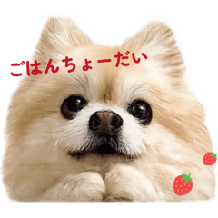 Mama_20260702152748