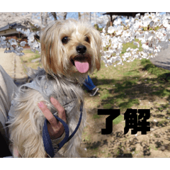 Shuntarou Sato_20260701133333