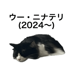 momoislexus_20260701140938