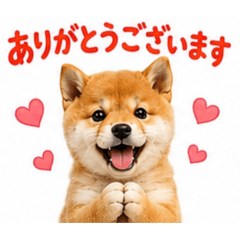 mantika@_20260701140445