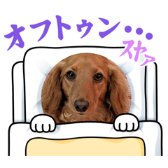 himefamily part1_20260702162338