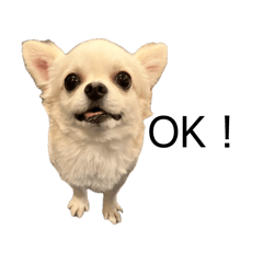 shi801_20260702162655