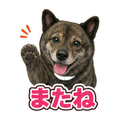 nerochamu_20260702162054