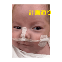 saku_20260702190901