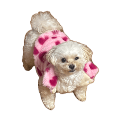 Cherrychan2 0213