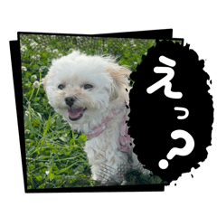Cherrychan3 0213