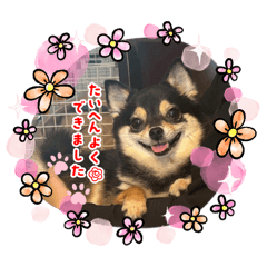 NERA_20260702193019