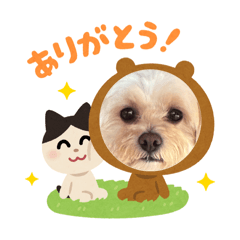 Aoi_20260702193620