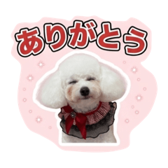 kuu_20260702200936